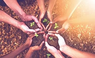 �����ϸ硤(�й�)���ֲ��ٷ���վ