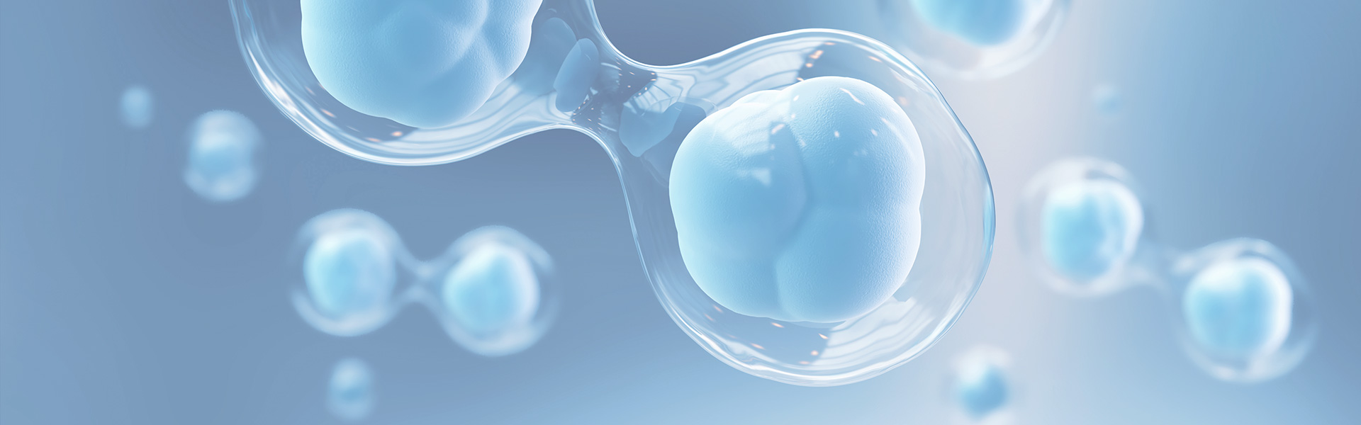 �����ϸ硤(�й�)���ֲ��ٷ���վ