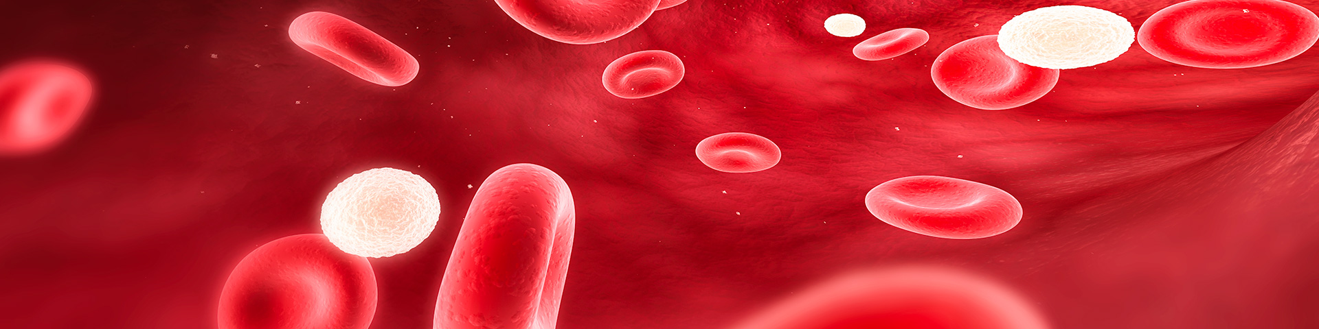 �����ϸ硤(�й�)���ֲ��ٷ���վ