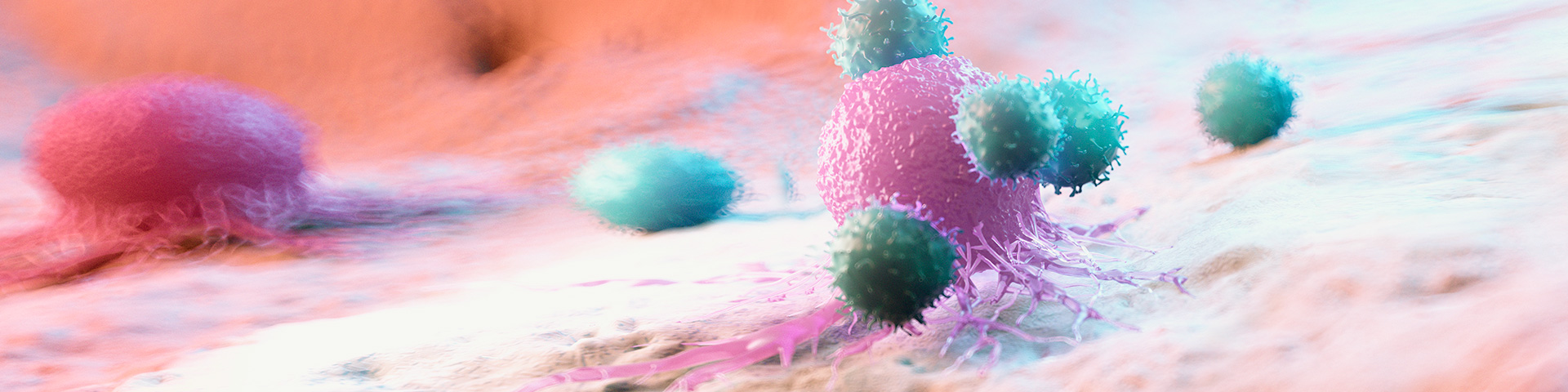 �����ϸ硤(�й�)���ֲ��ٷ���վ