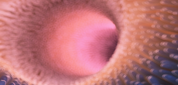 �����ϸ硤(�й�)���ֲ��ٷ���վ