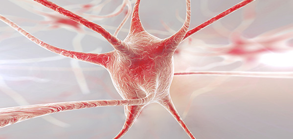 �����ϸ硤(�й�)���ֲ��ٷ���վ