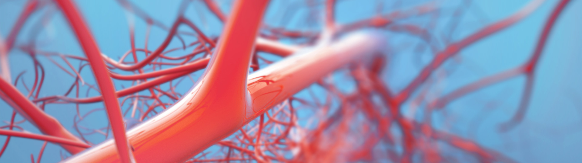 �����ϸ硤(�й�)���ֲ��ٷ���վ