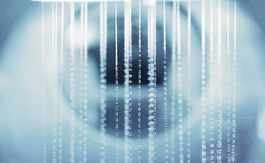 �����ϸ硤(�й�)���ֲ��ٷ���վ