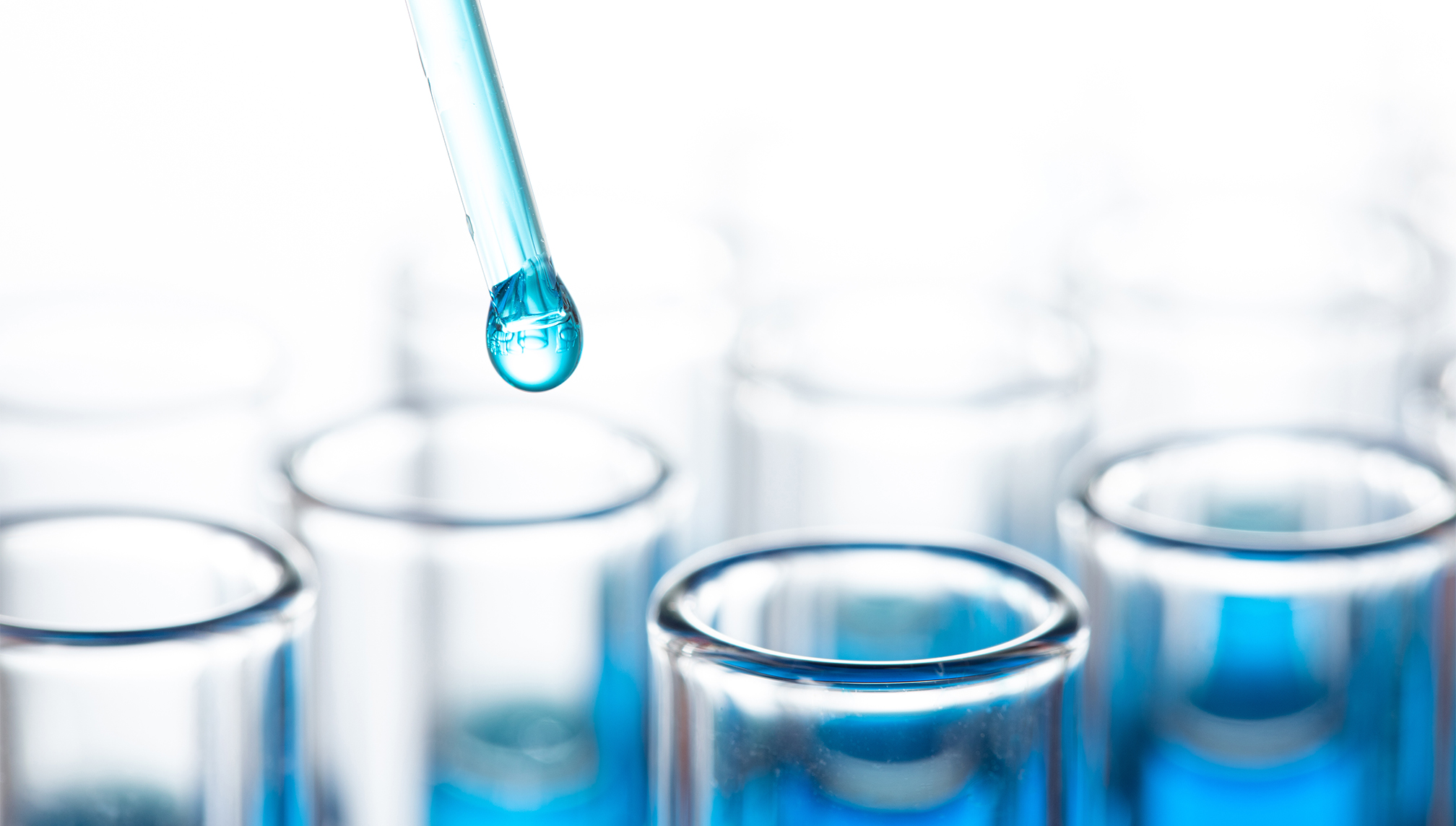 �����ϸ硤(�й�)���ֲ��ٷ���վ