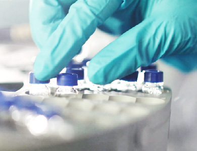 �����ϸ硤(�й�)���ֲ��ٷ���վ